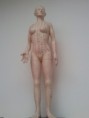 /album/uk-directory-gallery/acupuncture-channels1-jpg/